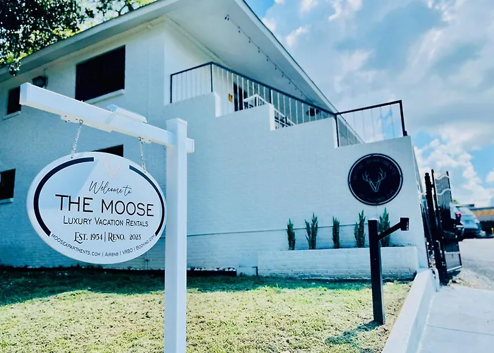 The Moose #10 - Stylish Loft With King Bed, Free Parking & Wi-Fi